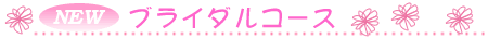 �֥饤���륳����